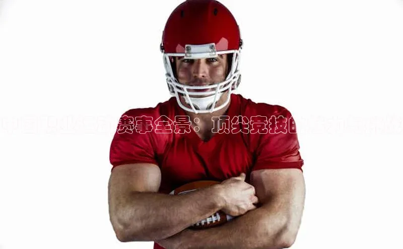 8868体育登录入口进入官网视觉中国中国职业运动赛事全景：顶尖竞技的魅力与挑战