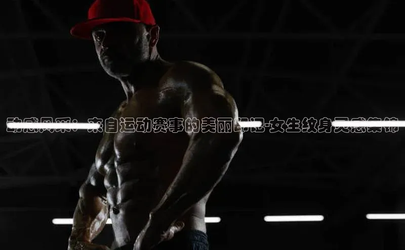 8868体育在线登录入口