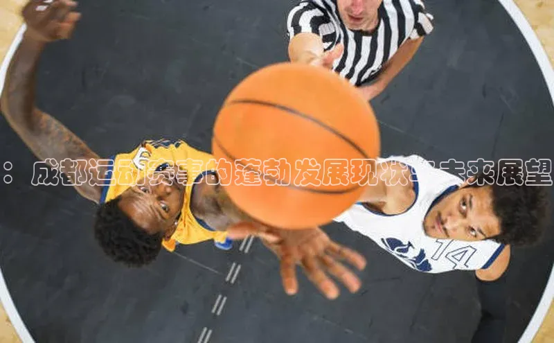 ：成都运动赛事的蓬勃发展现状与未来展望