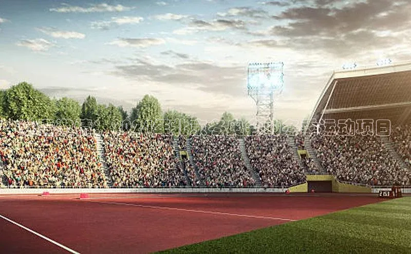 8868体育官网进入