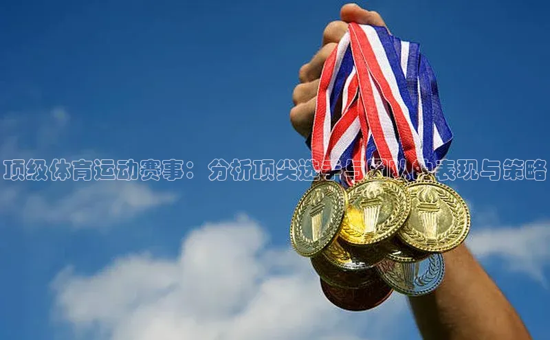 8868体育官网进入