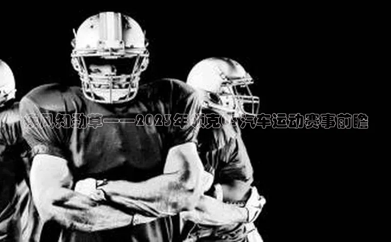 8868体育手机网页入口