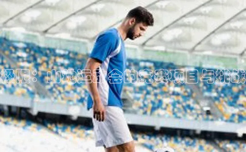 8868体育官网进入