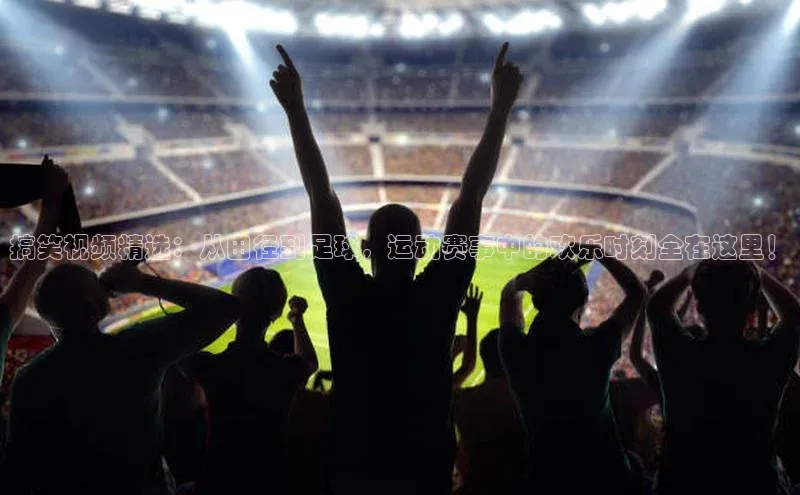 8868体育官方app下载