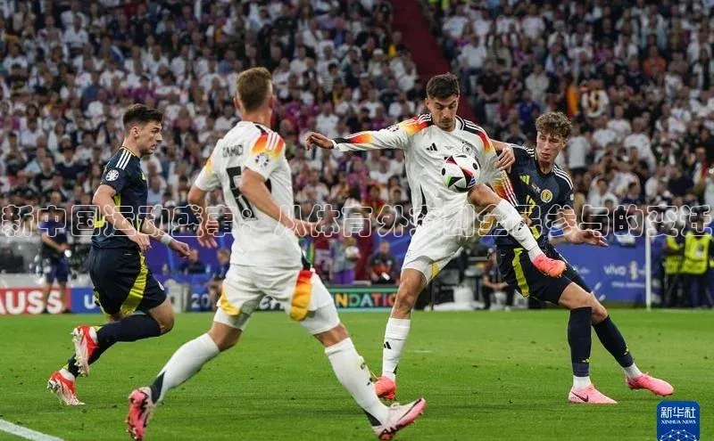 8868体育网页版登录入口