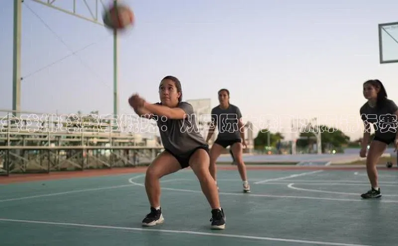 8868体育网页版入口