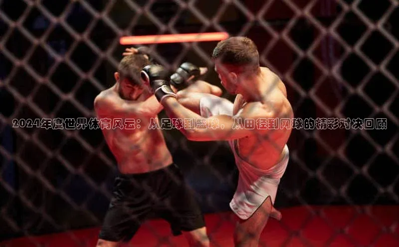 8688体育官网网页登录