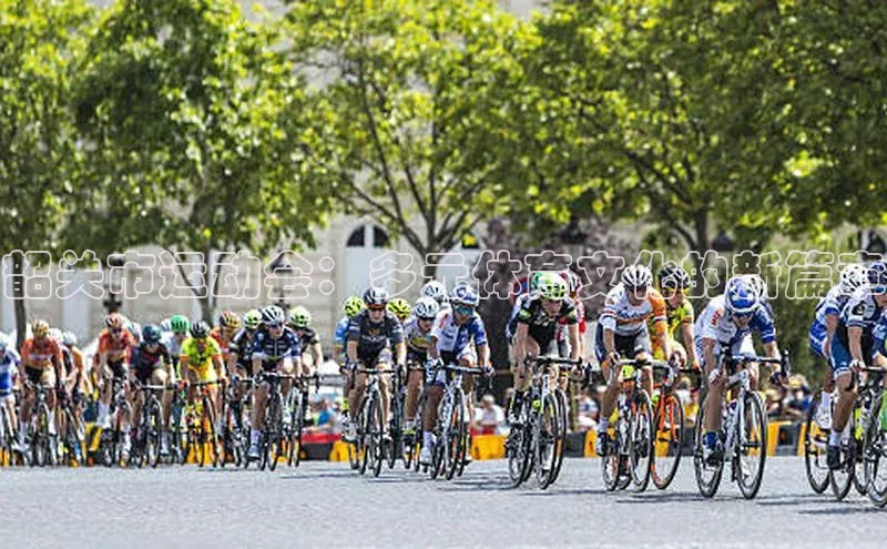 8868体育app下载平台