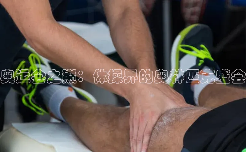 8688平台登录注册